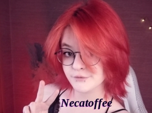necatoffee Spezial Sexcam