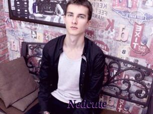 Nedcute
