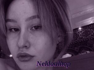 Neldaalltop