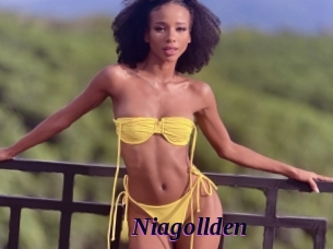 Niagollden