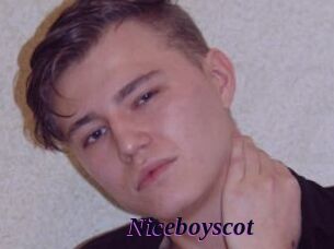 Niceboyscot