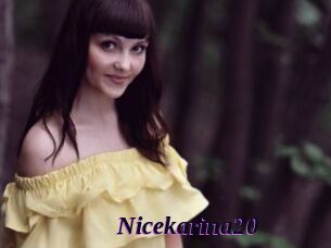 Nicekarina20