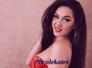 nicolekatee Spezial Sexcam