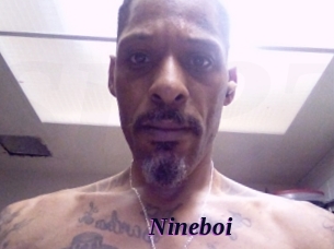 nineboi Spezial Sexcam