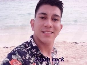 noah_cock Spezial Sexcam