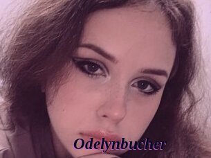 Odelynbucher
