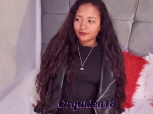 Orquidea18