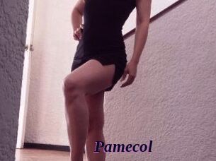 Pamecol