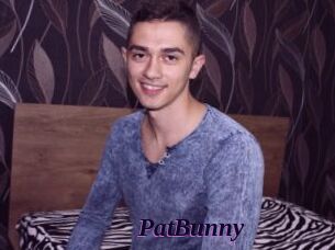 PatBunny