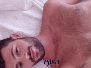 Pj001