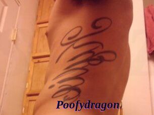 Poofydragon