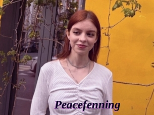 Peacefenning