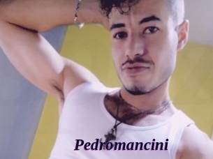 pedromancini Spezial Sexcam