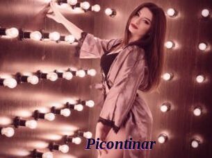 picontinar Spezial Sexcam