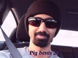 pig_benis_25 Spezial Sexcam