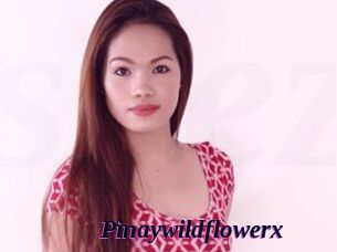 Pinaywildflowerx