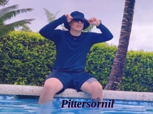 pittersornil Spezial Sexcam