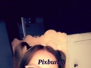 pixbunny Spezial Sexcam