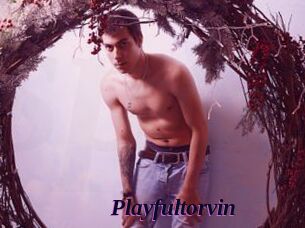 Playfultorvin