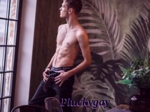 pluckygay Spezial Sexcam