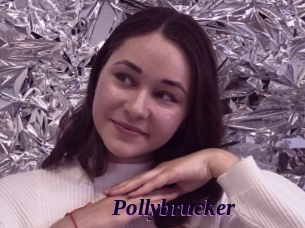 Pollybrucker