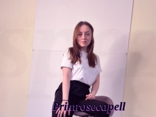 Primrosecapell