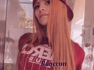 Raaccon