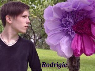 Rodrigie