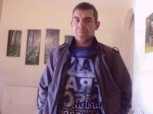 Roista