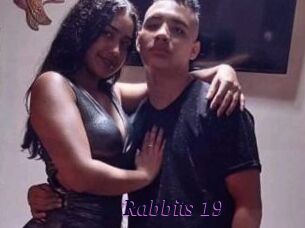 Rabbits_19
