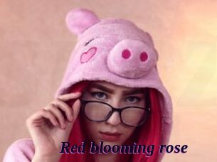 Red_blooming_rose