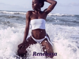 Renehaya