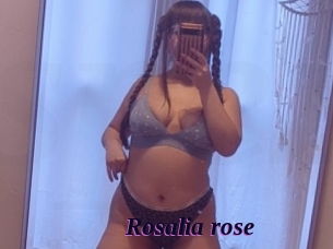 Rosalia_rose