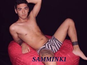 SAMMINK1