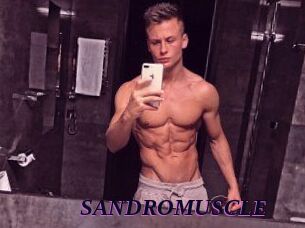 SANDRO_MUSCLE