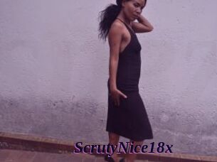ScrutyNice18x