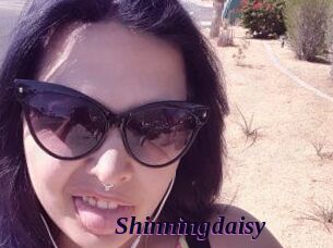 Shinningdaisy