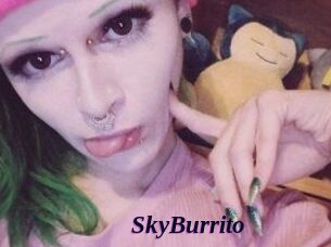 SkyBurrito