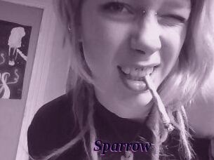 Sparrow