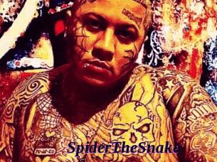 SpiderTheSnake