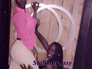 StallionPussy