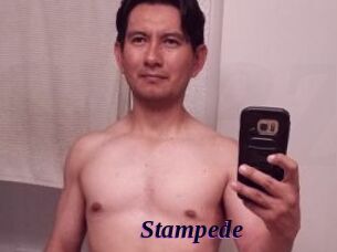 Stampede
