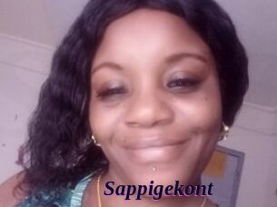 Sappigekont