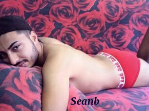 Seanb
