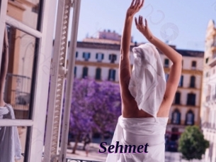 Sehmet