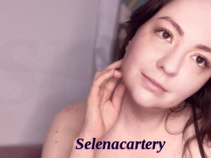 Selenacartery
