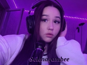 Selenagambee