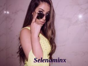 Selenaminx