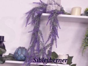 Sibleyberner