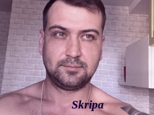 Skripa